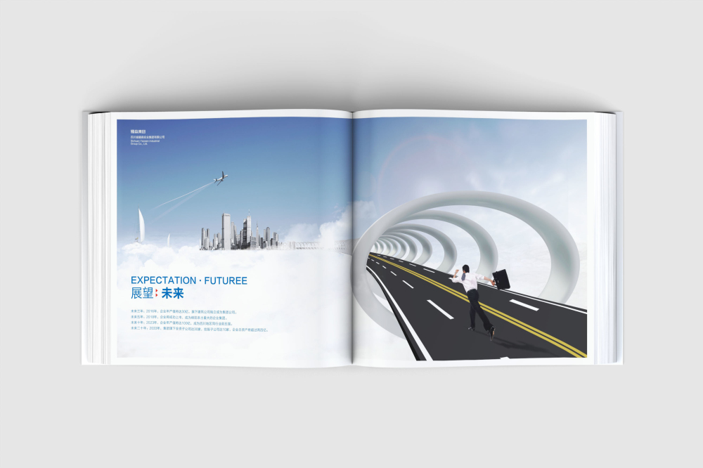 驿城区画册设计